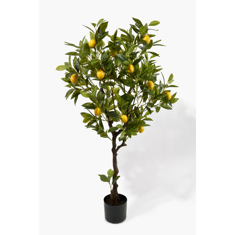 Gracie Oaks 47'' Faux Lemon Tree in Pot & Reviews Wayfair